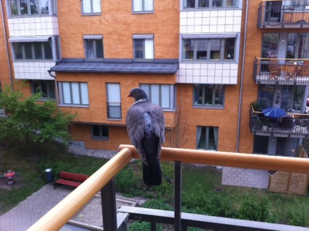 bild2