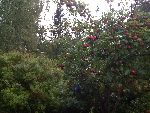 photo.jpg