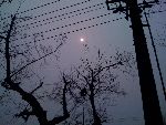 photo.jpg