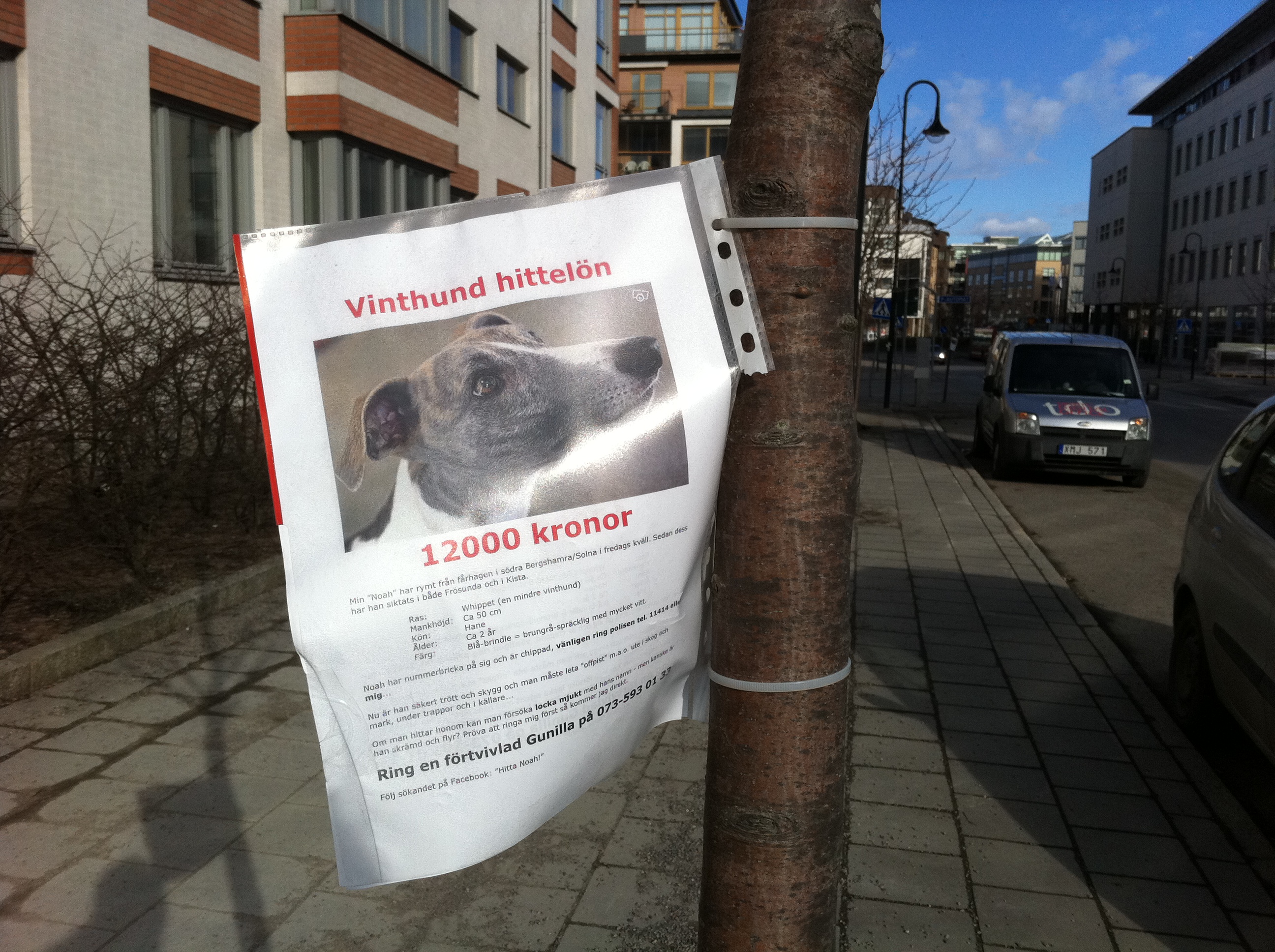 image Bild från Arhammars blogg