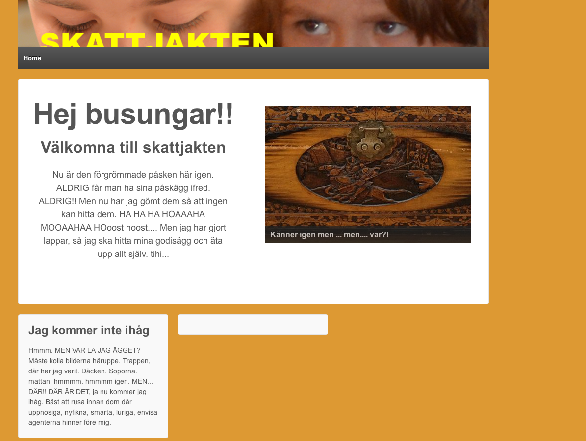 skattjakten2013