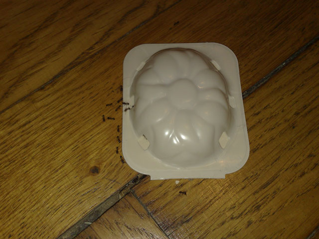 Bild från Arhammars blogg