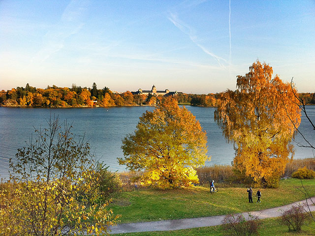 Det är höst i Solna