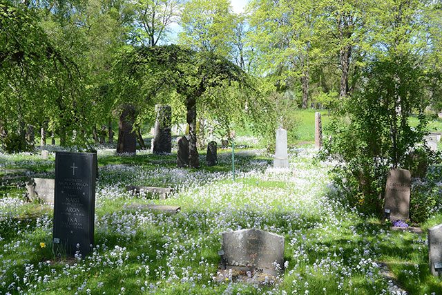 blommande kyrkogård