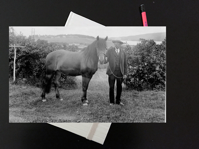 db1919janolsson Illustration för Judit Boudins dagböcker 1912-1922