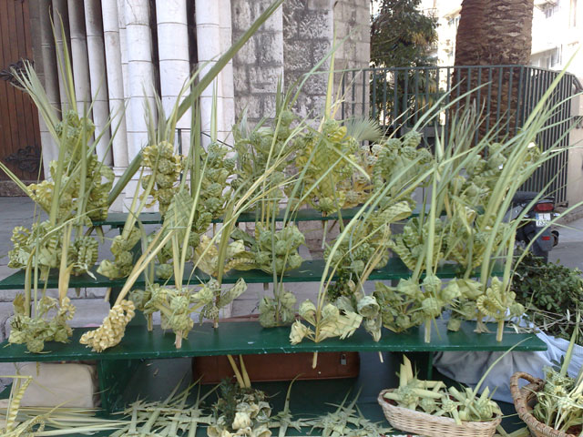 palmblad, påsk, Nice