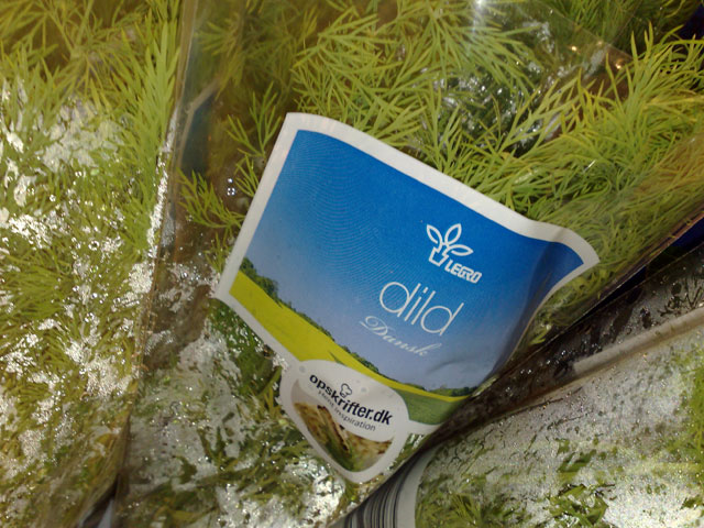 Dill